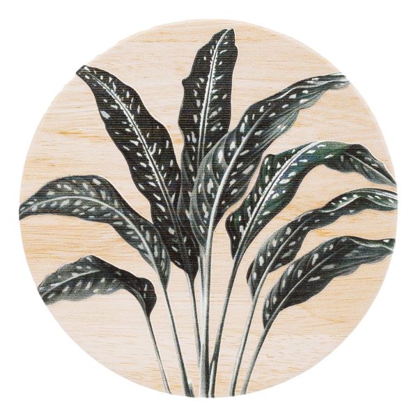 Splosh Exotic Ceramic Coaster Fern on Sale