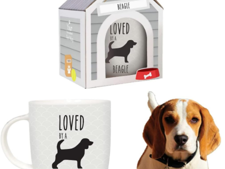 Splosh Pet Mugs - Beagle Cheap