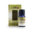 Cello Fragrance Oil - Caribbean Coconut on Sale