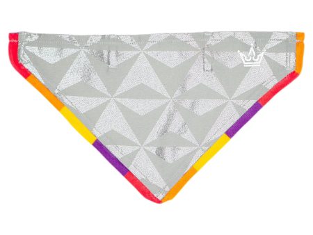 Geodesic Day Pet Bandana Sale