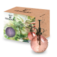 Gleneagles Plant Mister - Set of 2 Online now