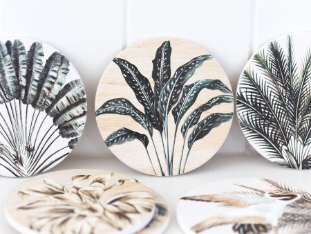 Splosh Exotic Ceramic Coaster Fern on Sale