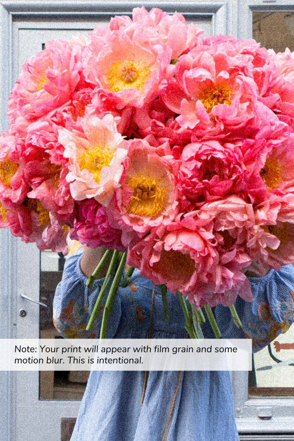 In Bloom - Peonies in the 6th on Sale