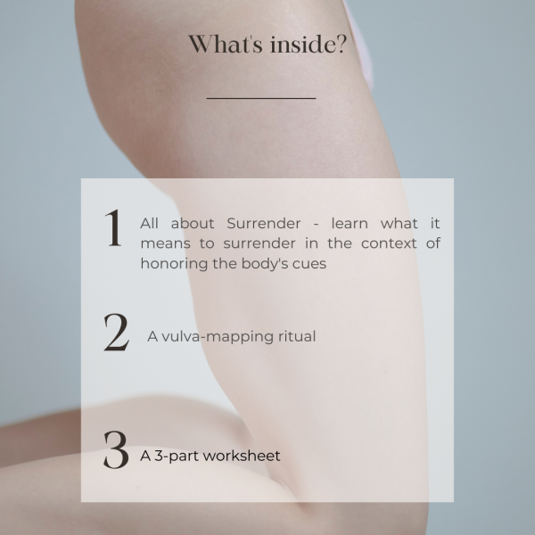 Surrendering to the Body as Authority: A Vulva-Mapping Experience For Discount