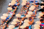 Arienzo Between The Umbrellas Cheap