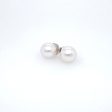 Freshwater Cultured White Pearl Stud Earrings Online now