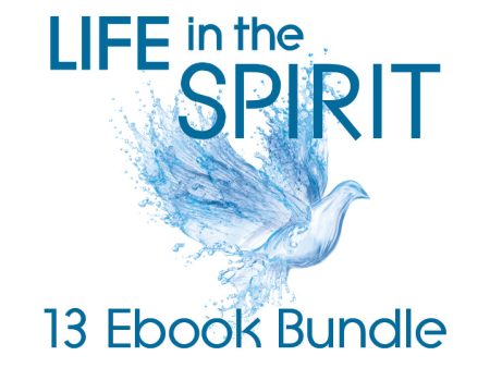 eBundle - Complete eBook Library 2 Online Sale