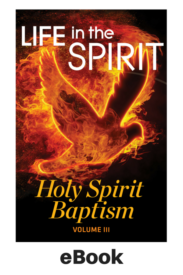 Life in the Spirit E-Book Vol 3 For Cheap