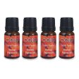 Cello Mixology Fragrance Oil - Pack of 4 - Tropical Paradise Online