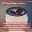 Cello Wax Medallions - Wildflower Garden Hot on Sale