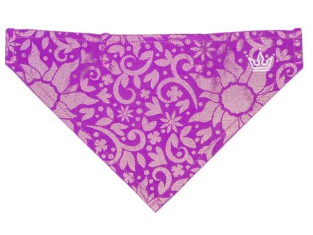 Golden Dreamer Pet Bandana Fashion