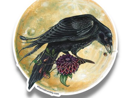 Full Moon Crow Sticker For Sale