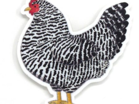 Black & White Chicken Sticker For Sale